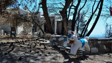 Δίκη για τη φωτιά στο Μάτι:  Συγκλόνισε πυροσβέστης που έχασε γυναίκα και παιδί 