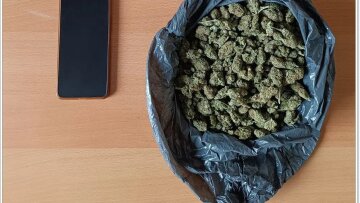 Λιβαδειά: Ο έλεγχος έδειξε ότι κυκλοφορούσε με κάνναβη