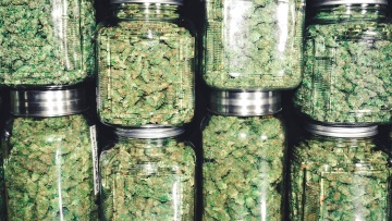 Δύο Ελληνίδες έστειλαν στην Κύπρο 14 κιλά κάνναβης με εταιρεία ταχυμεταφορών!