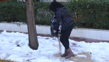 Κακοκαιρία «Μπάρμπαρα» - Δήμος Αθηναίων: Σε επιφυλακή από τα ξημερώματα της Κυριακής όλος ο μηχανισμός - Τα μέτρα