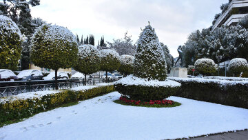 Κακοκαιρία «Μπάρμπαρα»: Παραμυθένιες εικόνες από το κέντρο της Αθήνας - Στα λευκά και το Ζάππειο