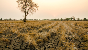 Γαλλία: Ανησυχία των ειδικών για τη μείωση στις βροχές - Τι ισχύει για την Ελλάδα