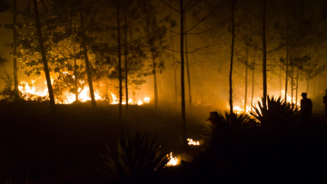 Σε πύρινο κλοιό η ανατολική Κούβα - Βαρύ πλήγμα για την οικονομία