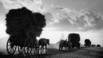 Τάκης Τλούπας: Ταινία - αφιέρωμα στον σπουδαίο φωτογράφο προβάλλεται στο Φεστιβάλ Ντοκιμαντέρ Θεσσαλονίκης