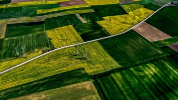 Εγκύκλιος διευκρινίζει πώς θα γίνει η πληρωμή αγροτεμαχίων έως 20 στρέμματα παρά τα ζητήματα ΚΑΕΚ