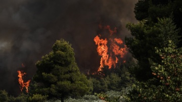 Meteo: Οι 10 πιο ακραίες δασικές πυρκαγιές στην Ελλάδα από το 2003 – Έκαψαν 2,8 εκατ. στρέμματα