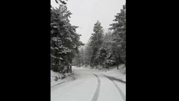 Κακοκαιρία: Ξαφνικά χειμώνας στην Πάρνηθα, ο χιονιάς το «έστρωσε» - Δείτε βίντεο