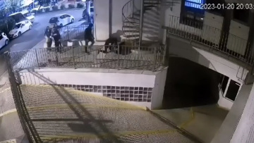 Νέος Κόσμος: Η στιγμή που 16χρονοι ξυλοκοπούν 17χρονο - Δείτε βίντεο