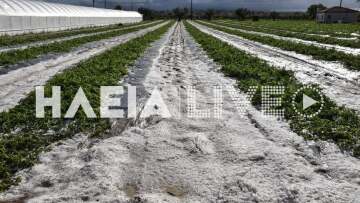 Ηλεία: Σφοδρή χαλαζόπτωση προκάλεσε μεγάλες καταστροφές σε καλλιέργειες