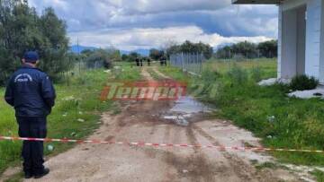 Κάτω Αχαΐα: «Ήταν ατάραχος, λες και δεν είχε συμβεί κάτι» - Μαρτυρία για την δολοφονία του 63χρονου