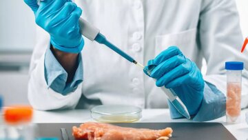 Σαλμονέλα: Νέο τεστ την ανιχνεύει σε λιγότερο από μία ώρα