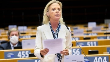 Αλέξης Γεωργούλης - Βόζεμπεργκ: Υπήρχε μία φήμη για τον ευρωβουλευτή