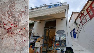 Κακοποίηση γάτας στην Ύδρα: «Το έσπρωξα επειδή ανέβηκε στο πιάτο μου» - Στον εισαγγελέα ο δράστης