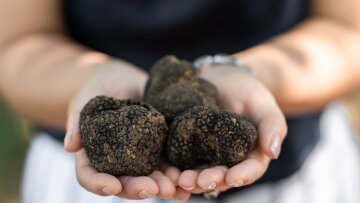 Καλαμπάκα: Η πόλη της τρούφας γιορτάζει