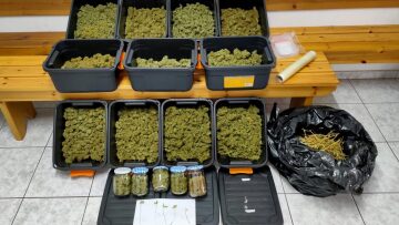 Χαλκιδική: Φύλαγε με σπαθί μίνι χασισοφυτεία και πέντε κιλά κάνναβης
