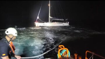 Ευρώπη: Όρκες φάλαινες έχουν βυθίσει τρία σκάφη στην Ευρώπη και... μαθαίνουν και σε άλλες να το κάνουν