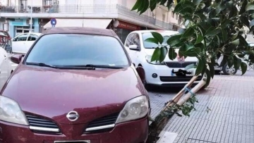 Θεσσαλονίκη: Πάρκαρε το αυτοκίνητό του πάνω σε κορμό δέντρου και τον μήνυσε ο δήμος