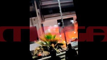 Άλιμος: Μεγάλη πυρκαγιά σε κατάστημα επίπλων - Βίντεο ντοκουμέντο δείχνει εμπρησμό