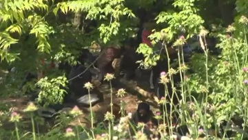 Μεταναστευτικό - Κυβέρνηση για τον Έβρο: Είμαστε σε επικοινωνία με την Τουρκία - Θα αποτραπεί κάθε αντικανονική είσοδος αλλοδαπού