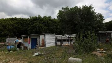 Καβάλα: Το DNA θα ρίξει φως στον θάνατο της 68χρονης κτηνοτρόφου - «Για βίαιο σύζυγο», μίλησε ο αδερφός της