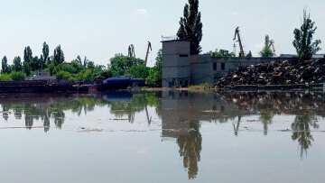 Ουκρανία: Οργή από τους κατοίκους της Χερσώνας μετά την ανατίναξη του φράγματος - «Όλα θα πεθάνουν εδώ»