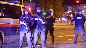 Αυστρία: 32χρονη βασάνιζε τον γιο της - Τον έβρεχε με κρύο νερό και τον κλείδωνε σε κλουβί για σκύλους