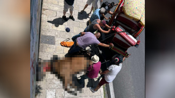 Κέρκυρα: Άλογο τουριστικής άμαξας ξεψύχησε στη μέση του δρόμου