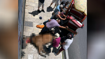 Κέρκυρα: Συνελήφθη ο ιδιοκτήτης του αλόγου που ξεψύχησε στη μέση του δρόμου