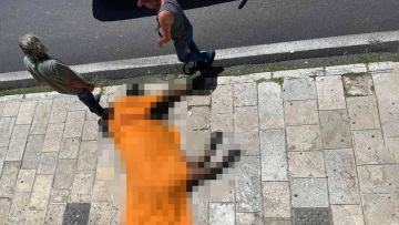 Κέρκυρα: Καταγγελία ότι ο 80χρονος αμαξάς μαστίγωνε το άλογο πριν το ζώο να ξεψυχήσει