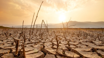 Κλιματική αλλαγή: «Εκτός ελέγχου», λέει ο ΟΗΕ μετά τη θερμότερη εβδομάδα που έχει ποτέ καταγραφεί