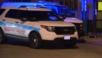 Σικάγο: Βρήκαν νεκρά σε σακούλα σκουπιδιών δύο νεογέννητα