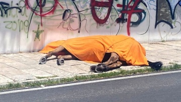 Κέρκυρα: Ελεύθερος υπό όρους ο 76χρονος αμαξάς για τον θάνατο του αλόγου