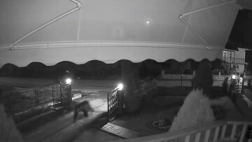 Βίντεο «έπιασε» στα πράσα αρκούδα να μπαίνει σε αυλή σπιτιού σε χωριό της Κοζάνης