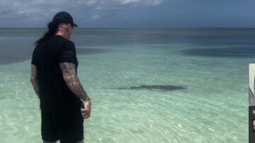 Ο Undertaker του WWE «νίκησε» και καρχαρία - Δείτε βίντεο