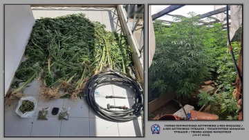 Μετέωρα: Ο σκύλος ανίχνευσης «Flex» βρήκε χασισοφυτεία με 74 δενδρύλλια