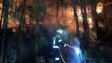 Ισπανία: Εκτός ελέγχου η φωτιά στο νησί Λα Πάλμα - Πάνω από 4.000 άνθρωποι έχουν εγκαταλείψει τα σπίτια τους