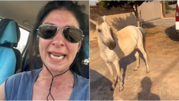 Φωτιά-Λαγονήσι: Έντρομη η ηθοποιός Ευτυχία Μέλη με τα άλογα κοντά στις φλόγες - «Βοήθεια, δεν ξέρω πώς να τα πιάσω»