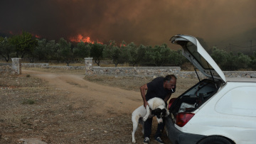 Συγκλονιστικές προσπάθειες για να σωθούν ζώα συντροφιάς από τις πυρκαγιές - Δείτε βίντεο