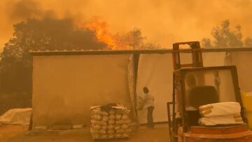 Φωτιά στα Δερβενοχώρια: Έχουν κυκλώσει τον οικισμό Νέα Ζωή Μάνδρας οι φλόγες - Έκκληση για εκκένωση - Δείτε βίντεο
