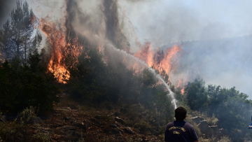 Φωτιές: Αναζωπύρωση στο Πυρί Λακωνίας