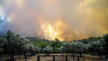 Λέκκας: Οι πέντε παράγοντες που συνέβαλαν στην πύρινη λαίλαπα της Ρόδου