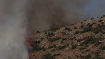 Φωτιές: Ορατά από το διάστημα τα πύρινα μέτωπα -  Δείτε φωτογραφίες 