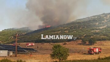Φωτιά στη Λαμία: Νέο μήνυμα του 112 - εκκένωση της περιοχής Αμφιθέας