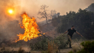 Φωτιές - Γήτας (καθηγητής Δασολογίας): Γιατί «προτιμούν» νησιά και νότια Ελλάδα - Πώς συνδέονται με τις βροχές