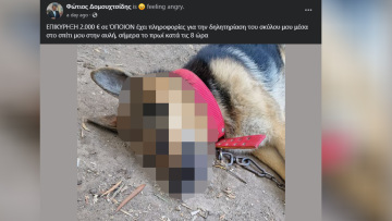 Σέρρες: Δεύτερη φορά σκοτώνουν με φόλα σκύλο του δημάρχου Σιντικής μέσα στην αυλή του