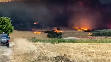 Αλεξανδρούπολη - Αρτοποιός: Σα να έχουμε έναν ανεμιστήρα που σπρώχνει τη φωτιά σε νέα μέτωπα