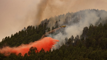 Εμπρησμός η μεγάλη πυρκαγιά στην Τενερίφη, λένε οι αρχές - Έχουν καεί πάνω από 100.000 στρέμματα