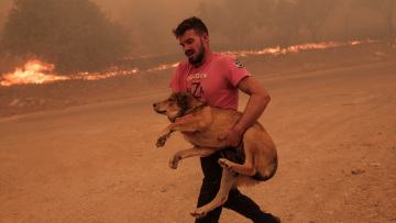 Φωτιά στη Φυλή: Κάτοικος σώζει ζώα από το πύρινο μέτωπο – Δείτε φωτογραφίες