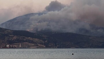 Φωτιά στη Βοιωτία: Νέο μήνυμα από το 112 - Έχουν εκκενωθεί τέσσερις οικισμοί