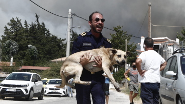Φωτιά στην Πάρνηθα: Προσπαθούν να σώσουν τα ζώα που έχουν εγκλωβιστεί στη φωτιά στο Μενίδι - Δείτε φωτογραφίες